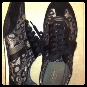 Coach shoes