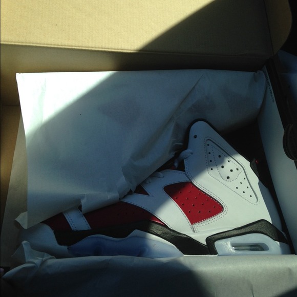 🚫SOLD🚫 Jordan Carmine 6s