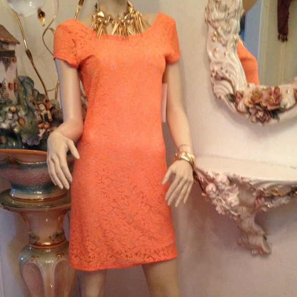 Lace Dress with Deep U Sexy Back - Picture 4 of 4