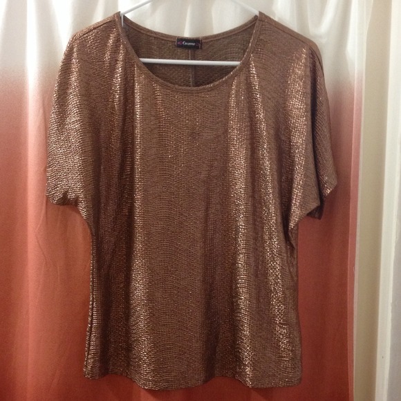 Copper/gold blouse