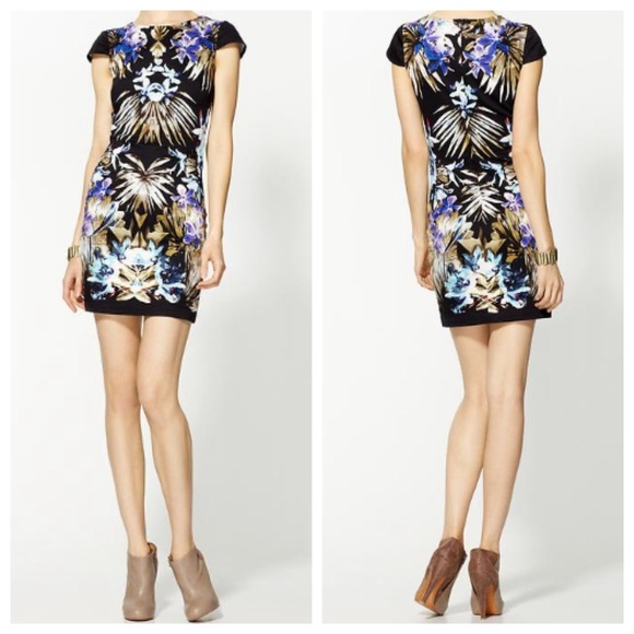 [SOLD] Bardot Eden Bodycon Dress - Picture 2 of 3