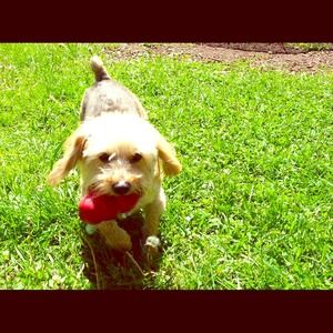 3 bra bundle for bri2722