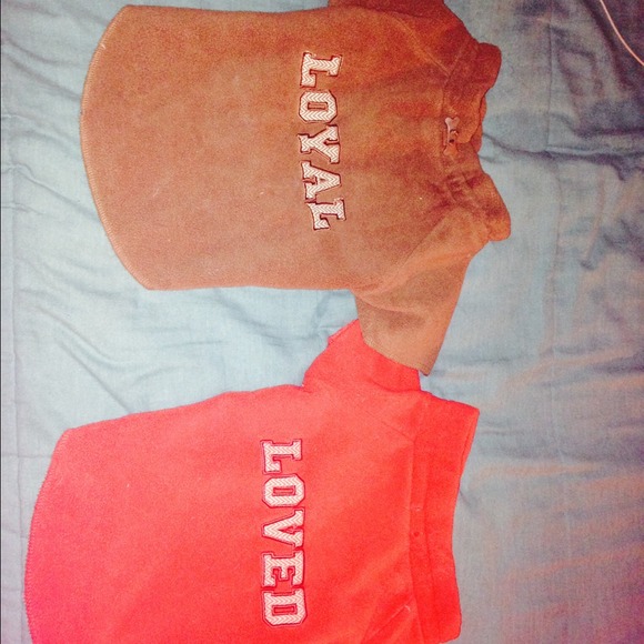 Martha Stewart pet sweaters