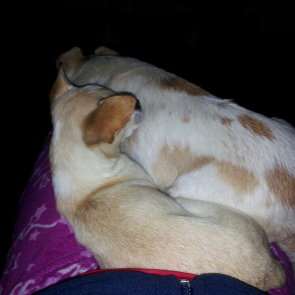 Meet Your Seller/Trader! :) - Picture 3 of 3