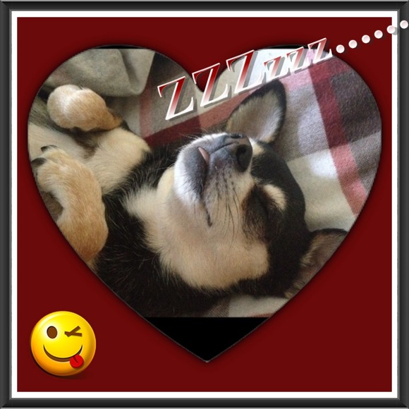 🐺Sharing the Mr. And Miss Cuteness this time