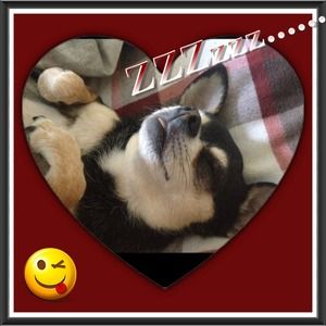 🐺Sharing the Mr. And Miss Cuteness this time