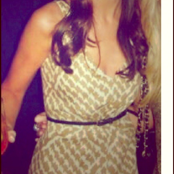 J. Crew dress (belt not included)