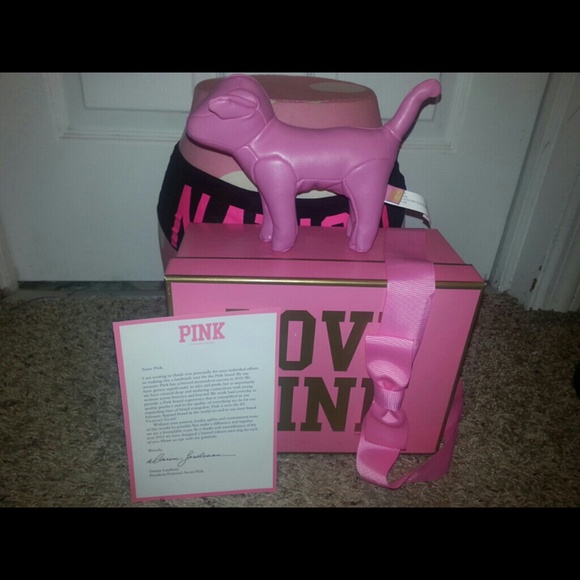 Rare VS PINK pink leather Billion Dollar Dog