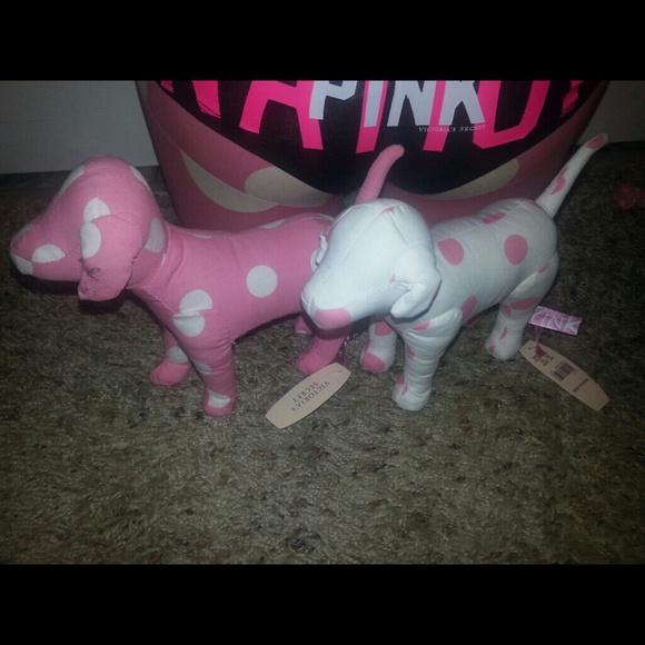 VS PINK Dogs
