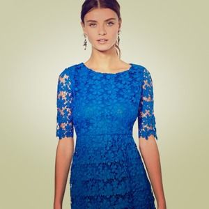 NASTY GAL cobalt lace dress