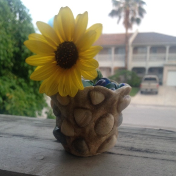 Hand made shell container thingy - Picture 1 of 4