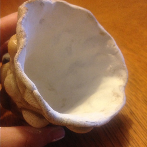 Hand made shell container thingy - Picture 4 of 4