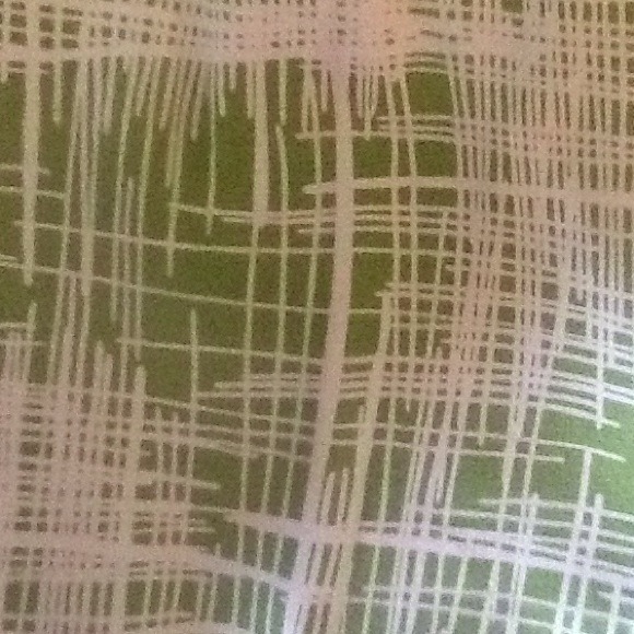 GREEN AND WHITE TALBOTS CAPRIS!! BUNDLE FOR DONNA! - Picture 3 of 3