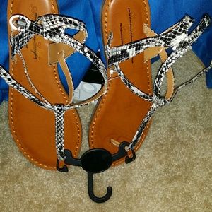 Snake looking and brown