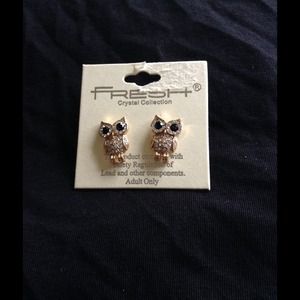 Owl earrings