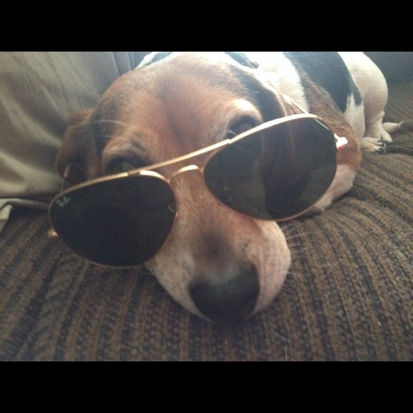 Ray ban an glasses