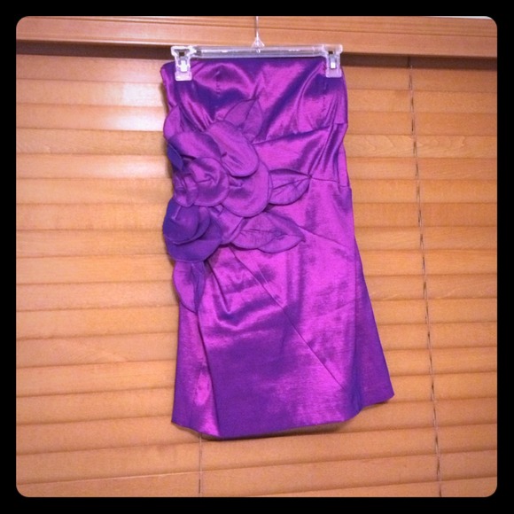 Purple tube top dress