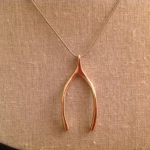 Gold horseshoe necklace