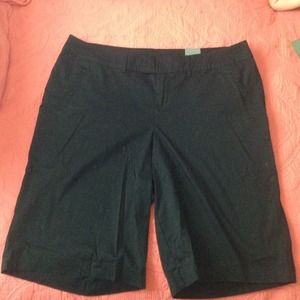 Lane Bryant Shorts