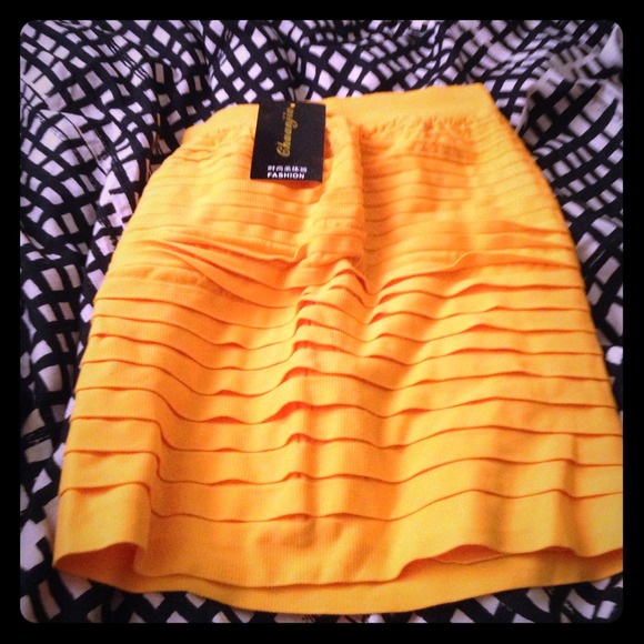 New never used skirt