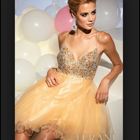 Terani Couture Pink Prom Dress