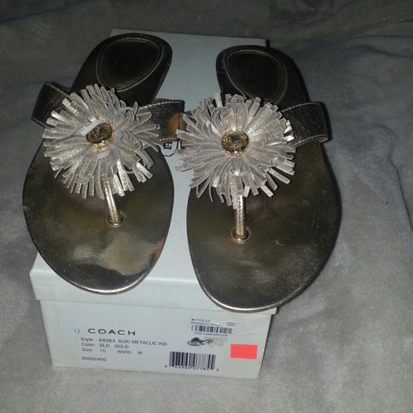 Gold Metallic Coach Sandals
