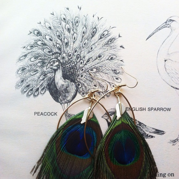 ⬇️ 50% OFF ⬇️ Decree Peacock Earrings