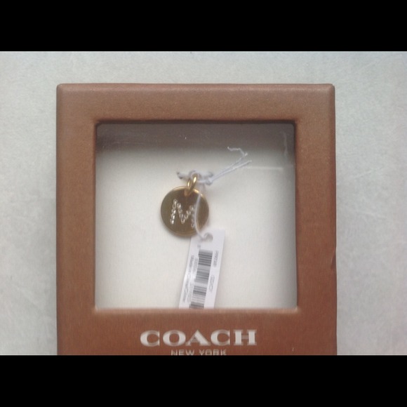 Pave M Charm