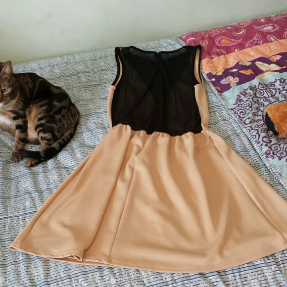 Short dress - Picture 3 of 4