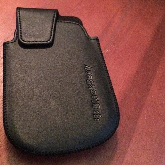 Blackberry Holster