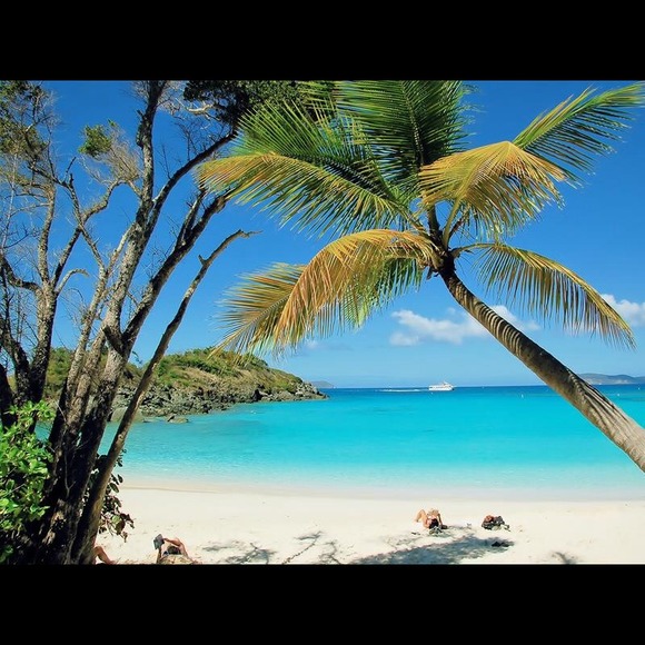 Please enter your feedback here!