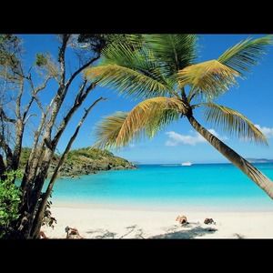 Please enter your feedback here!