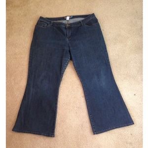 Venezia Stretch Flare Jeans- Petite length
