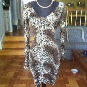 Leopard Print Long-Sleeve Dress