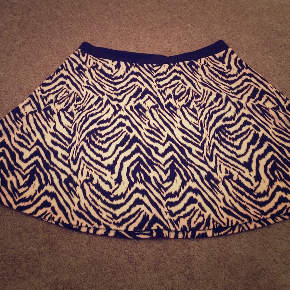 Eye Catching Zebra Skirt