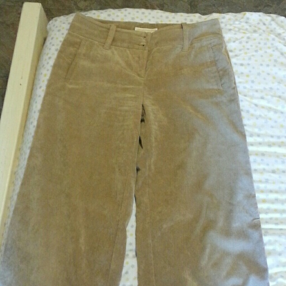 Cord pants