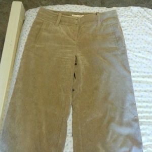 Cord pants