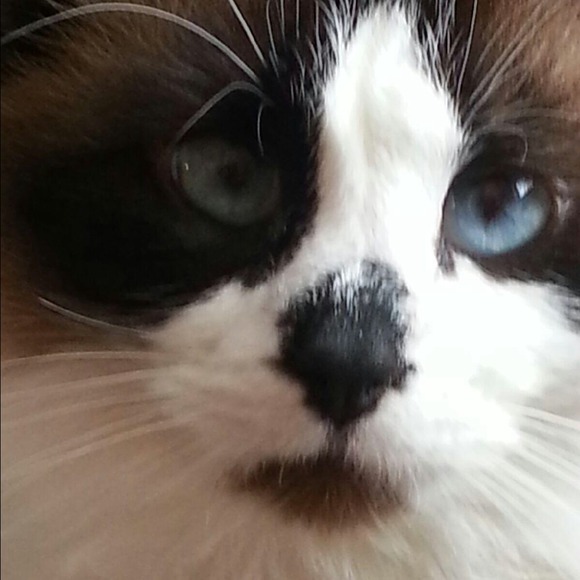 Just sharing my youngest baby :-)