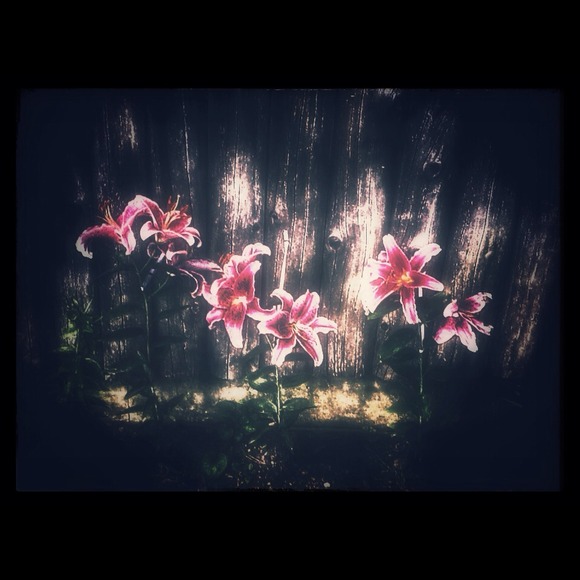 PRICES LOWERED! - Picture 1 of 1