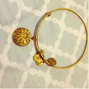 Alex and Ani Cousin bracelet gold