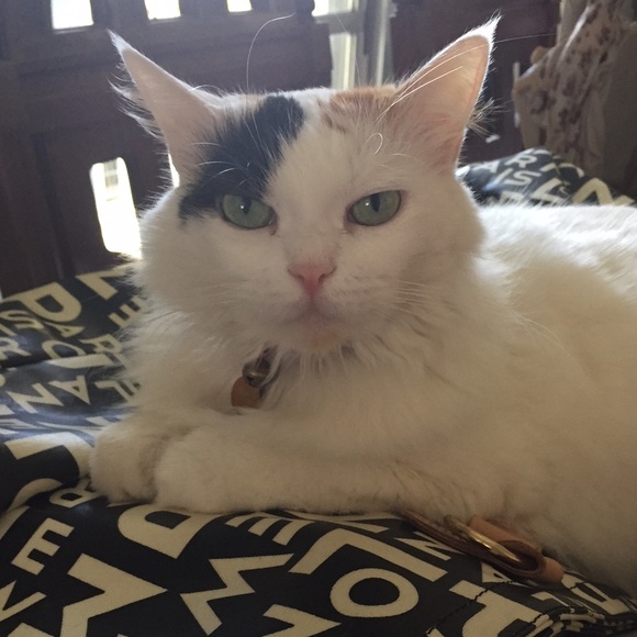 🌸 Meet your seller! 🌸 - Picture 4 of 4