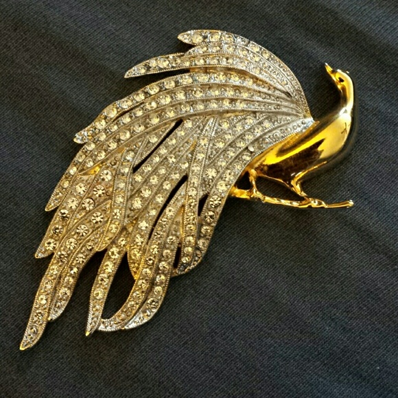 Beautiful peacock broach