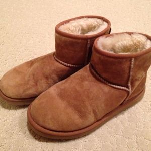 Chestnut Ugg Minis