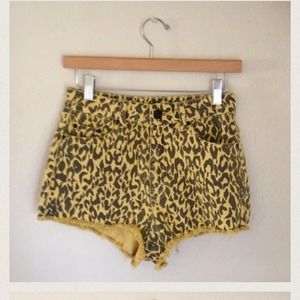 Bundle for @useyourgills