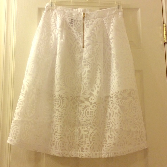 Brand New White Sheer Burnout Skirt (tag fell off)