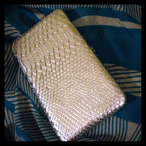 Bright silver frame clutch