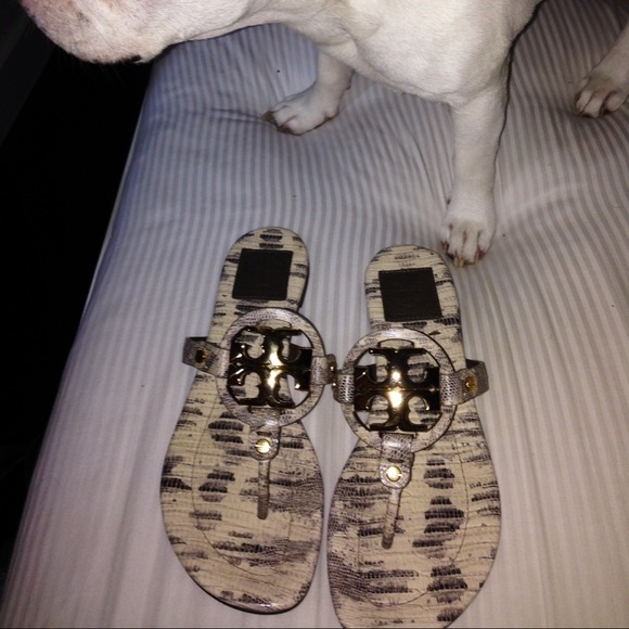 Tory Burch Miller Lizard Leather Thong Sandals - Picture 3 of 4