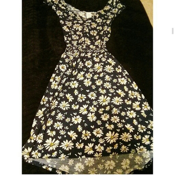american rag high low daisy dress