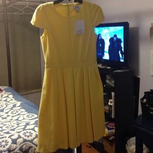 Badgley Mischka Dress