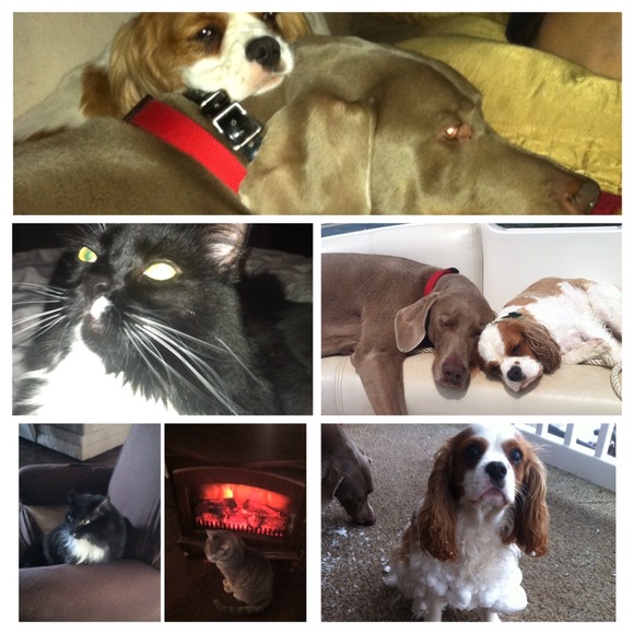 (0-24W; XS-4X) 25% Off ALL Bundles - Picture 2 of 13